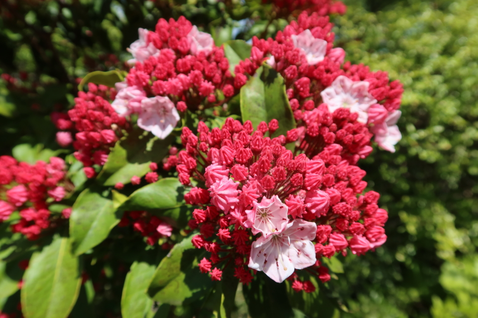 ファイル 8007-5.jpg