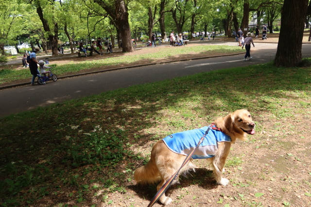 ファイル 8008-1.jpg