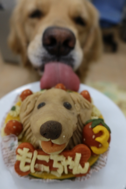 ファイル 8008-4.jpg