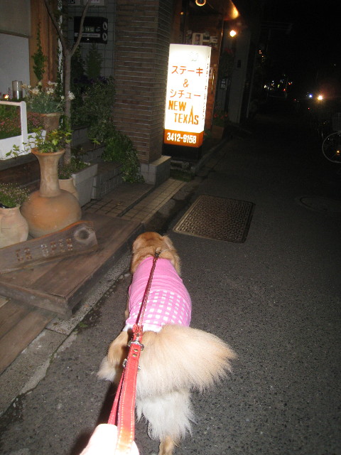 ファイル 801-1.jpg