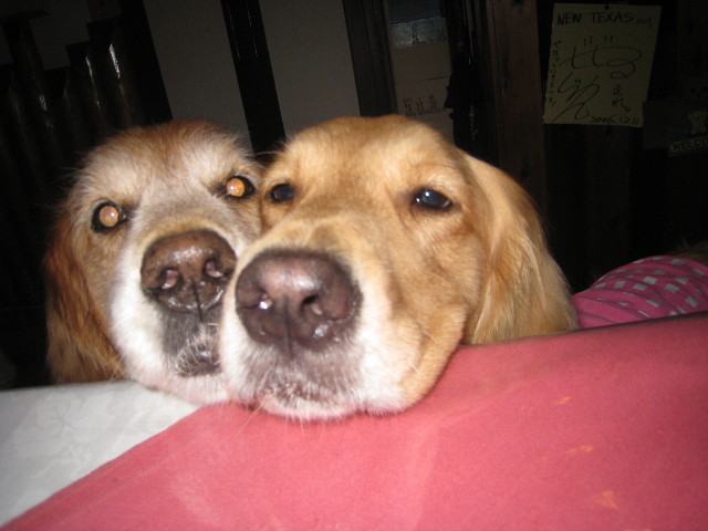 ファイル 801-2.jpg