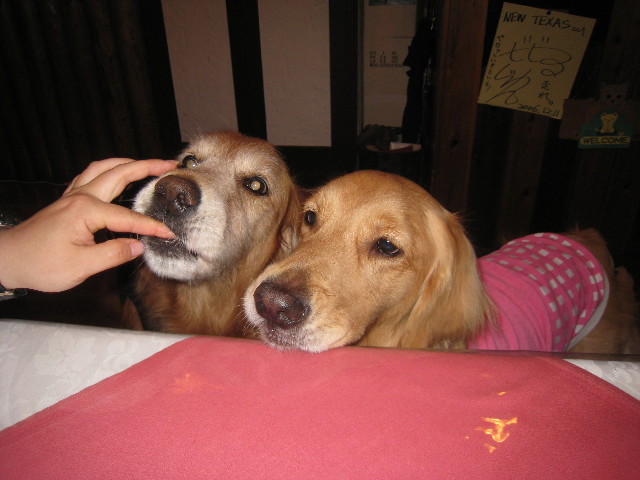 ファイル 801-4.jpg