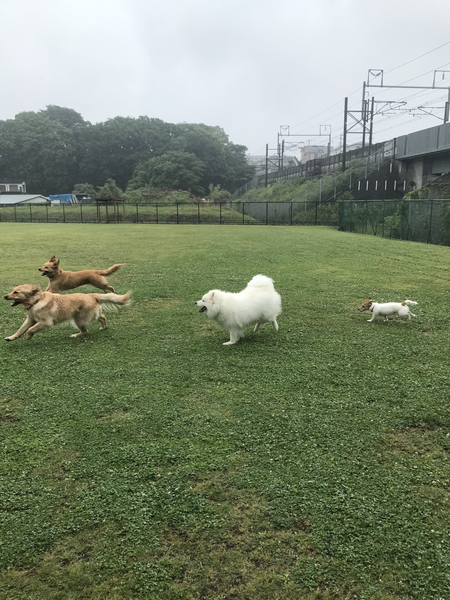 ファイル 8010-2.jpeg