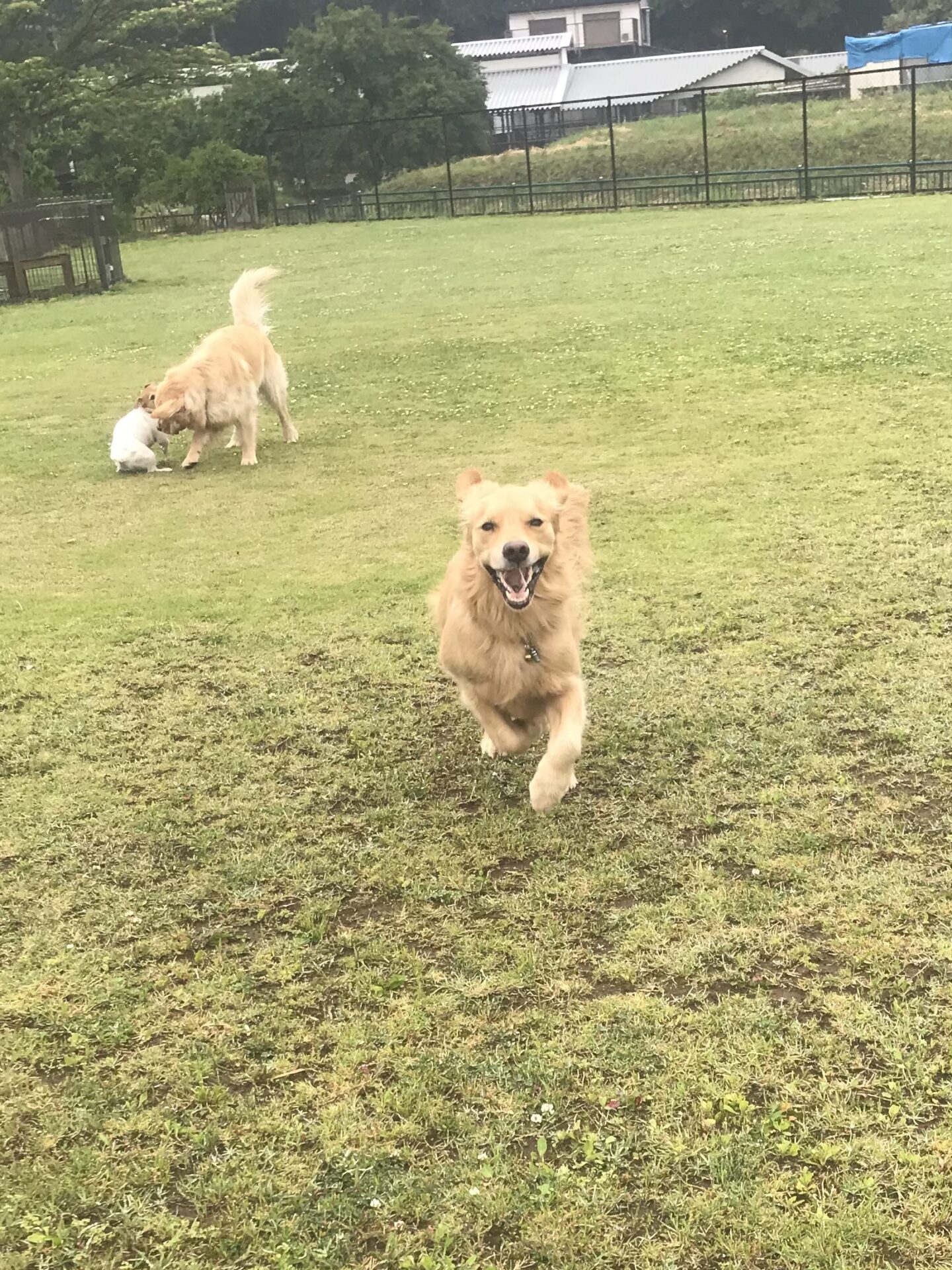 ファイル 8010-5.jpeg