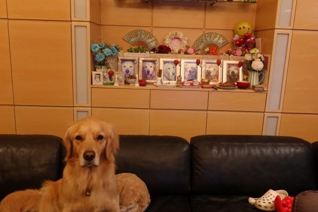 ファイル 8011-1.jpg