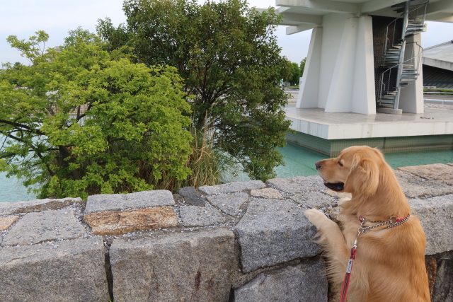 ファイル 8012-1.jpg