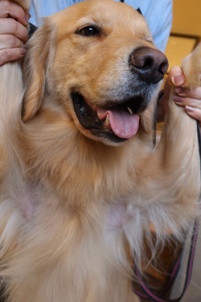 ファイル 8014-1.jpg