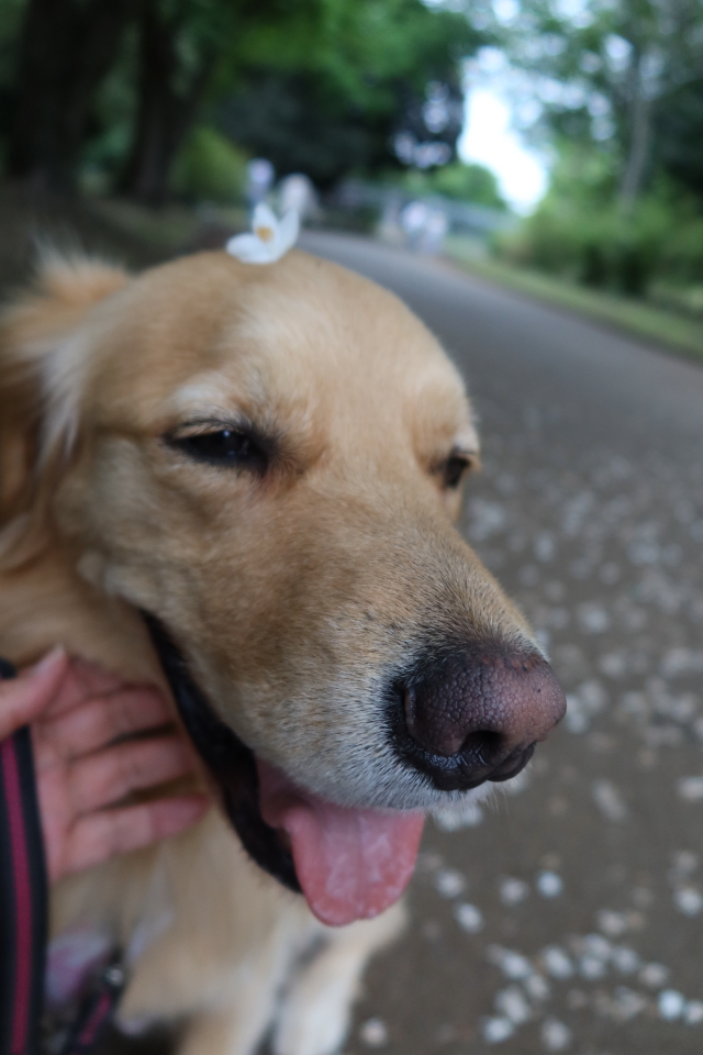 ファイル 8014-5.jpg