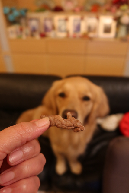 ファイル 8015-2.jpg