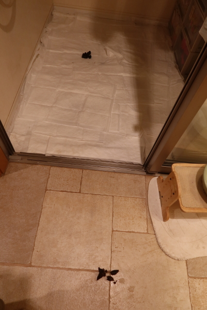 ファイル 8015-3.jpg