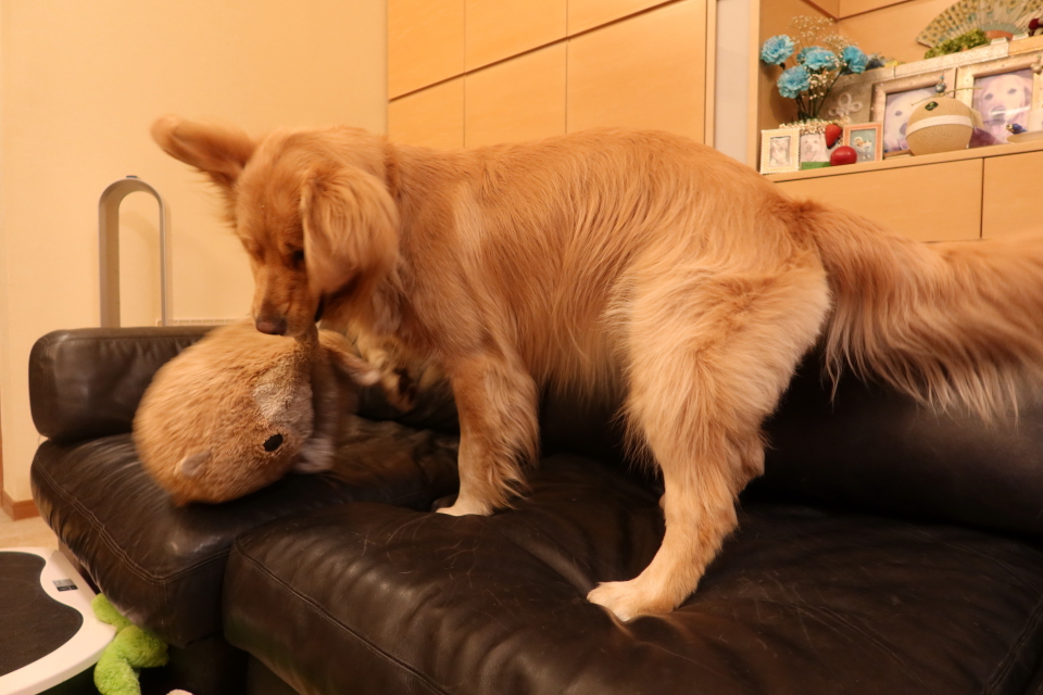 ファイル 8015-4.jpg