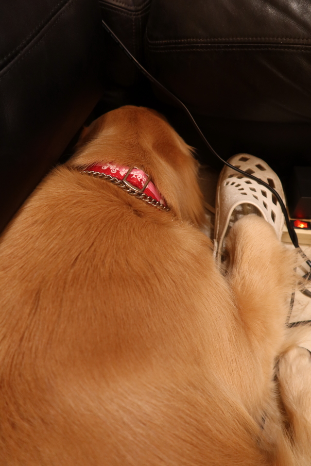 ファイル 8015-5.jpg