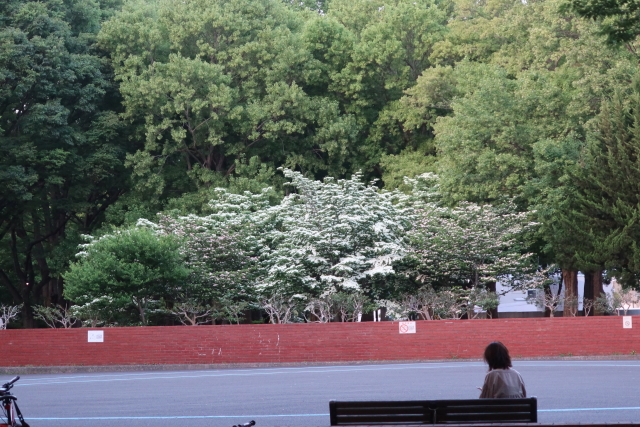 ファイル 8016-2.jpg