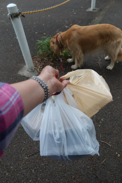 ファイル 8017-3.jpg