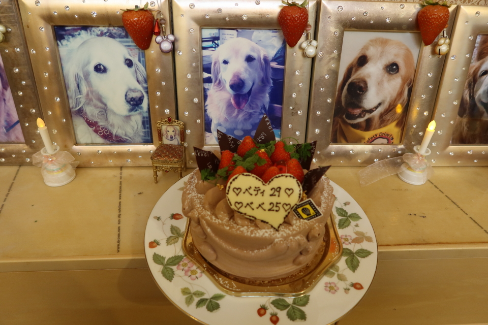 ファイル 8018-1.jpg