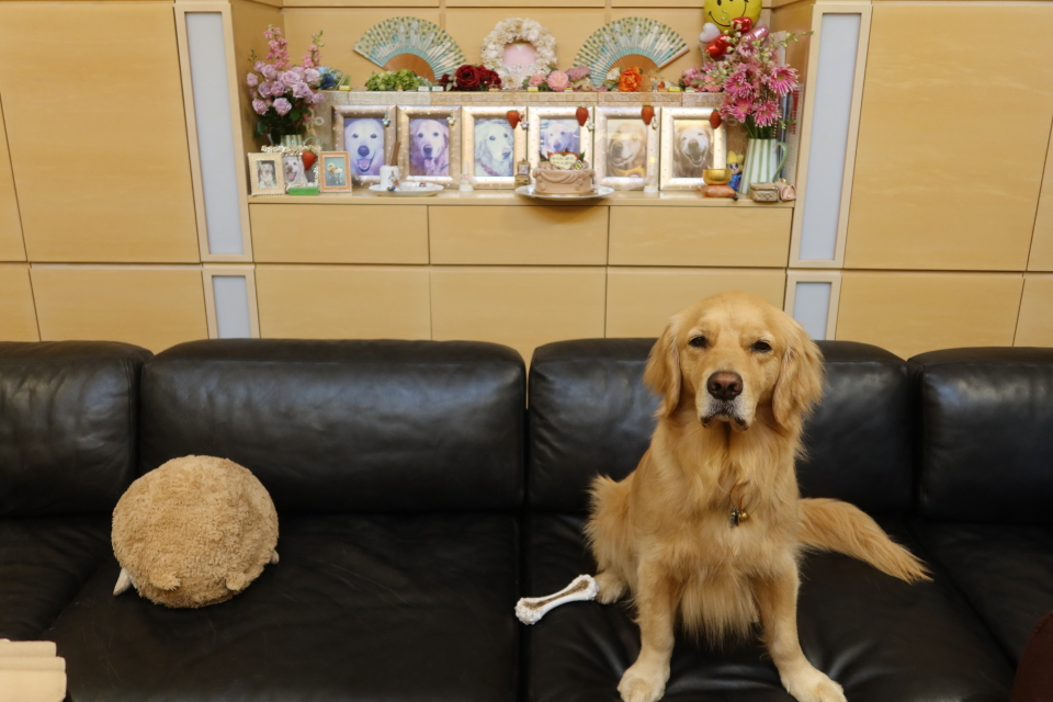 ファイル 8018-2.jpg