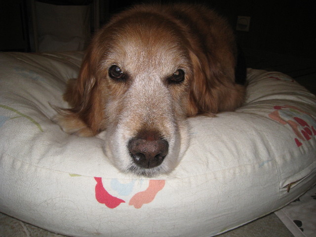 ファイル 802-1.jpg