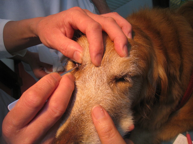 ファイル 802-2.jpg