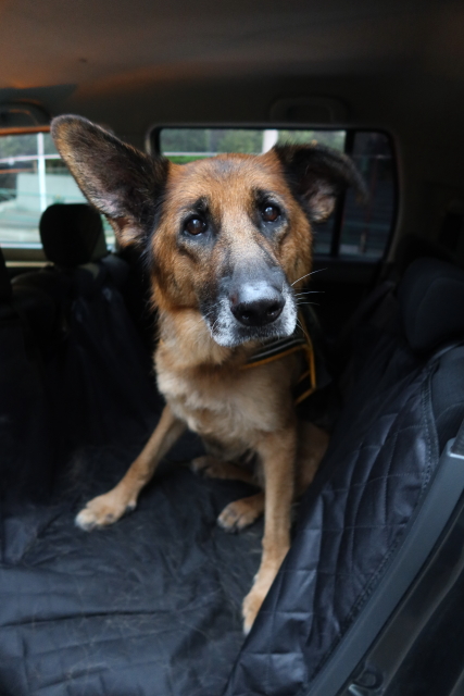 ファイル 8020-4.jpg