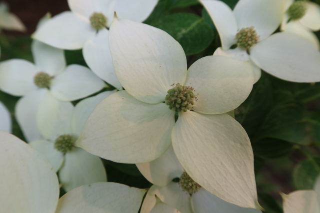 ファイル 8020-5.jpg