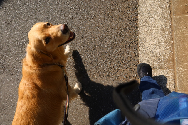 ファイル 8025-2.jpg