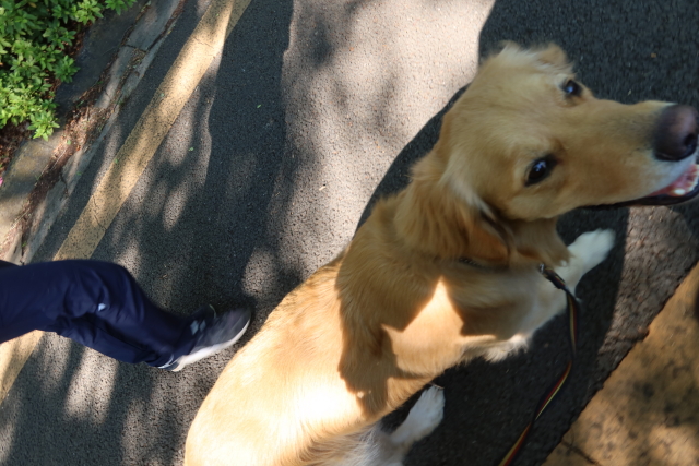 ファイル 8025-4.jpg