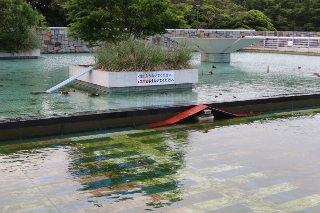 ファイル 8028-2.jpg