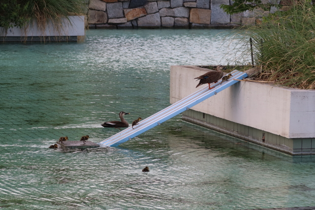 ファイル 8028-4.jpg