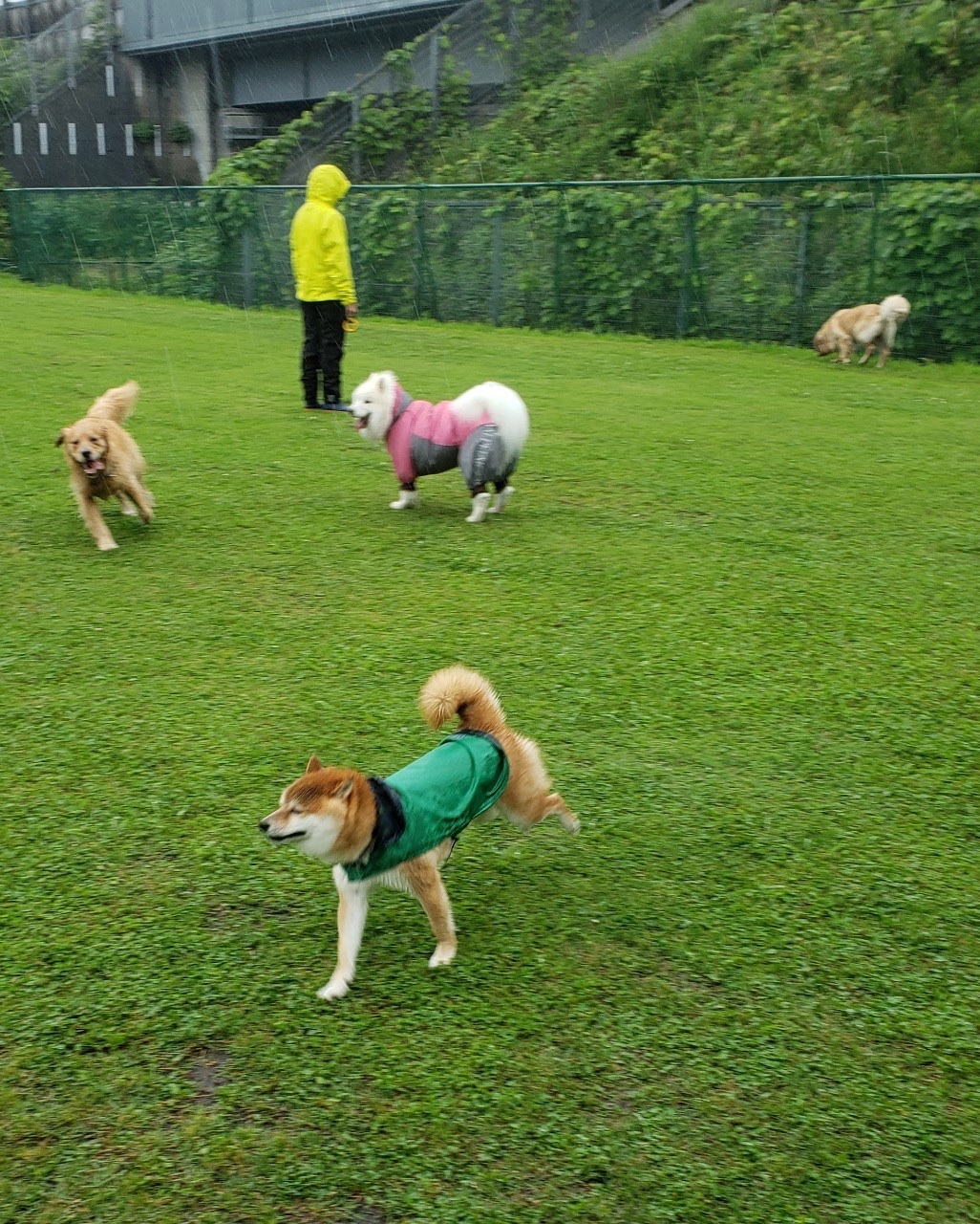 ファイル 8029-1.jpeg