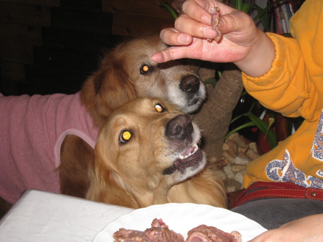 ファイル 803-3.jpg