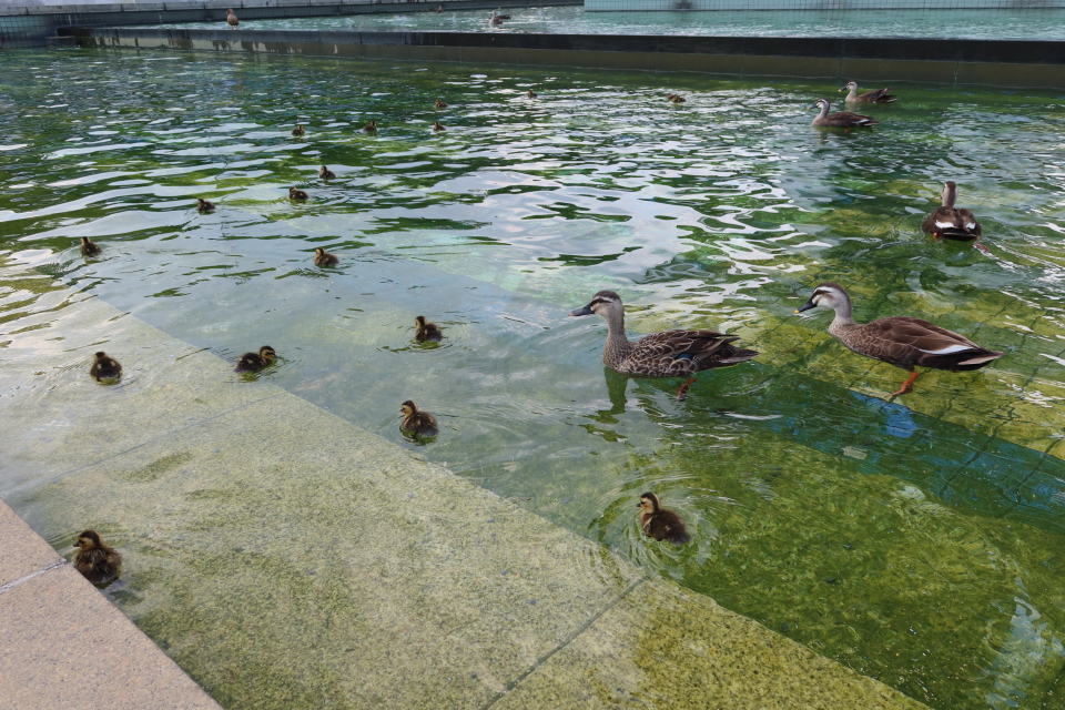 ファイル 8032-3.jpg