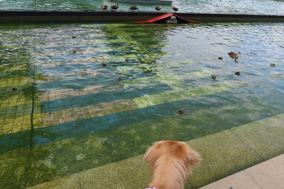 ファイル 8033-2.jpg