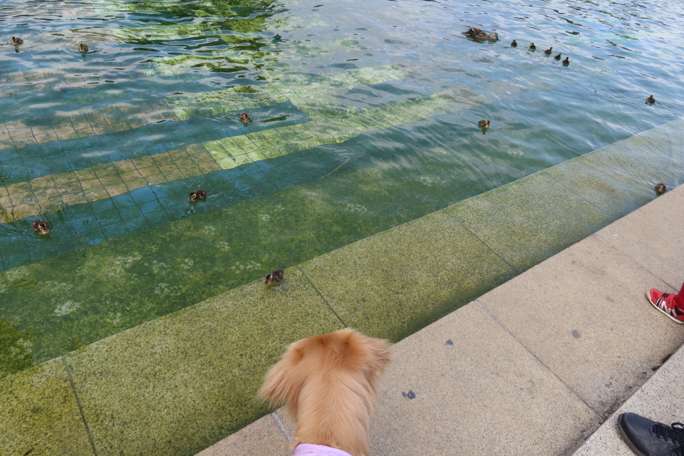 ファイル 8033-4.jpg