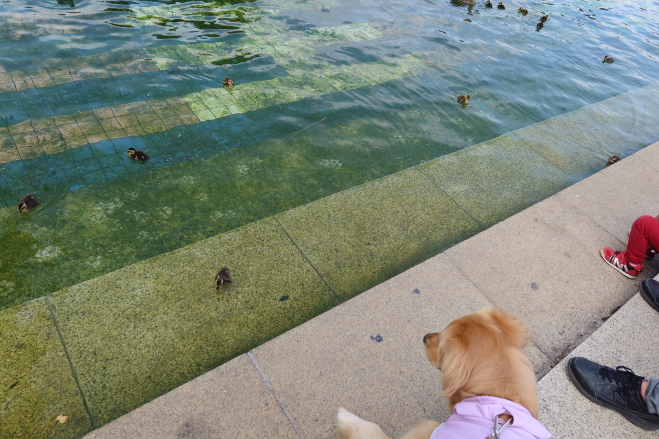 ファイル 8033-5.jpg