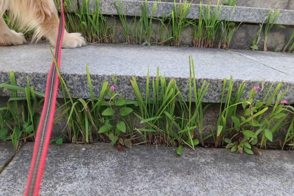 ファイル 8036-5.jpg