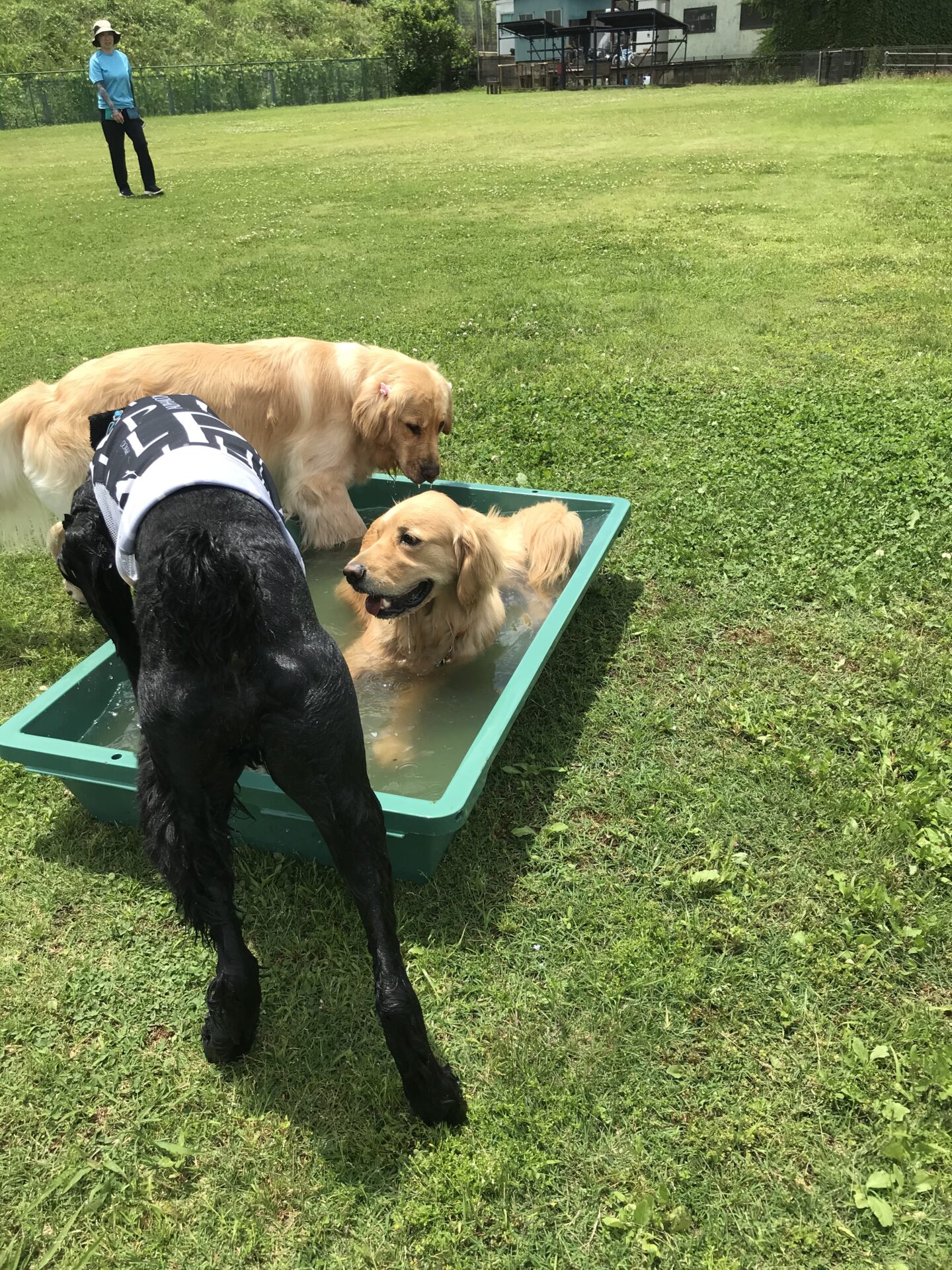 ファイル 8037-3.jpeg