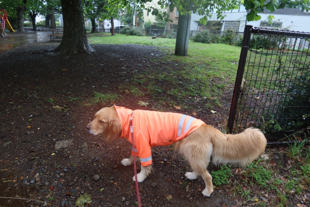 ファイル 8038-1.jpg