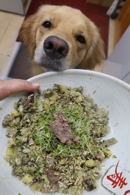 ファイル 8038-3.jpg