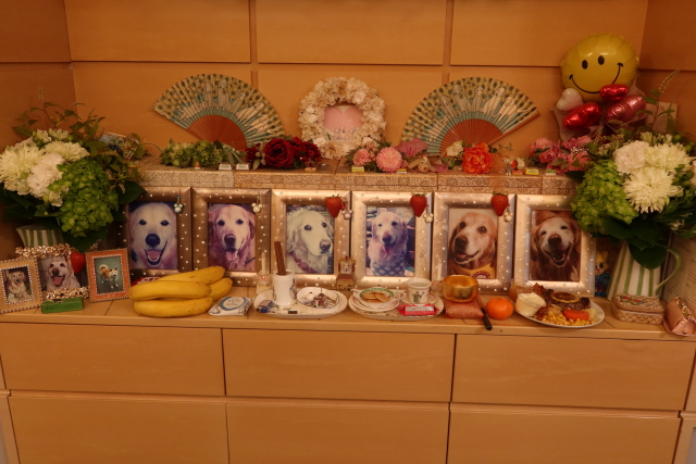 ファイル 8038-4.jpg