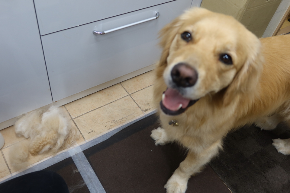 ファイル 8039-1.jpg