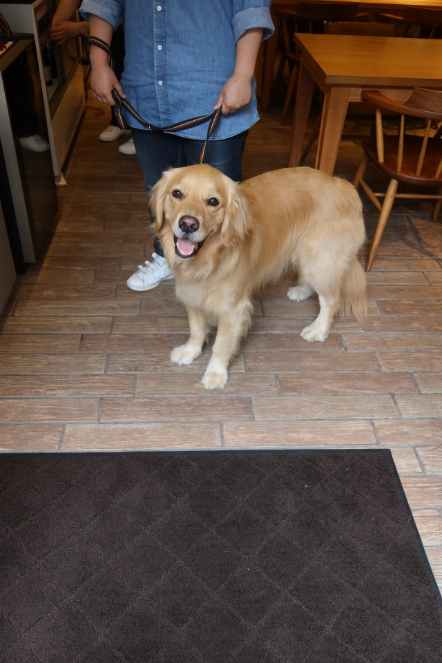 ファイル 8039-2.jpg