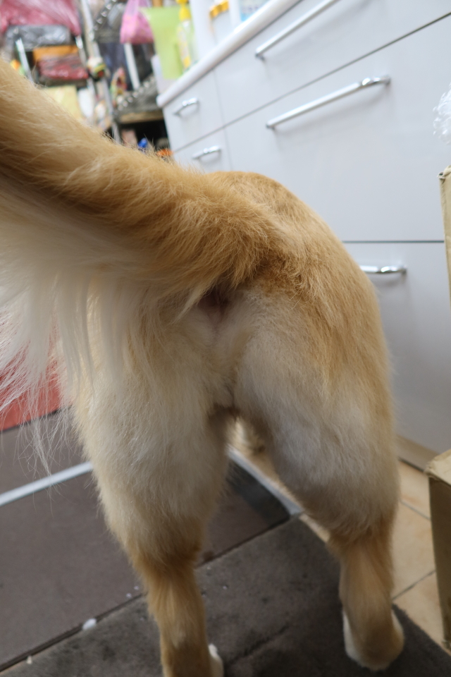 ファイル 8039-3.jpg