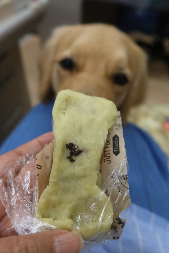 ファイル 8039-4.jpg