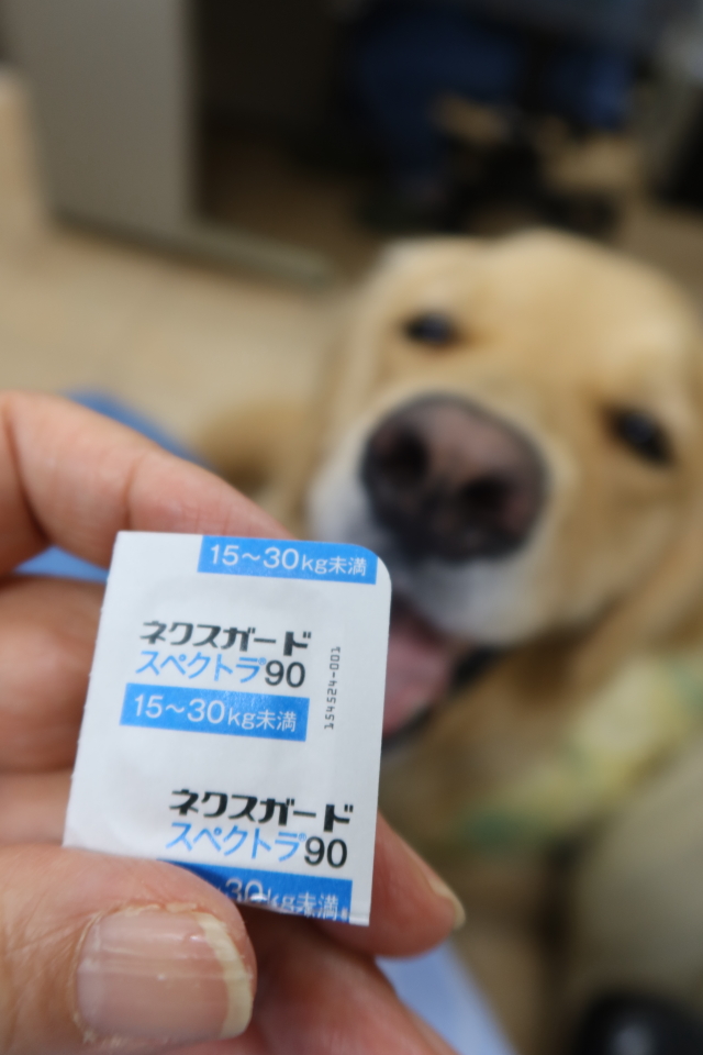 ファイル 8039-5.jpg