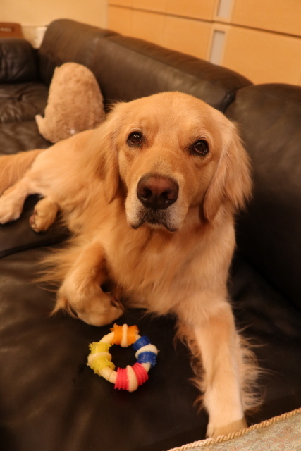 ファイル 8040-2.jpg