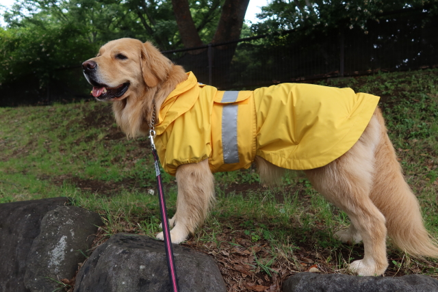 ファイル 8040-3.jpg