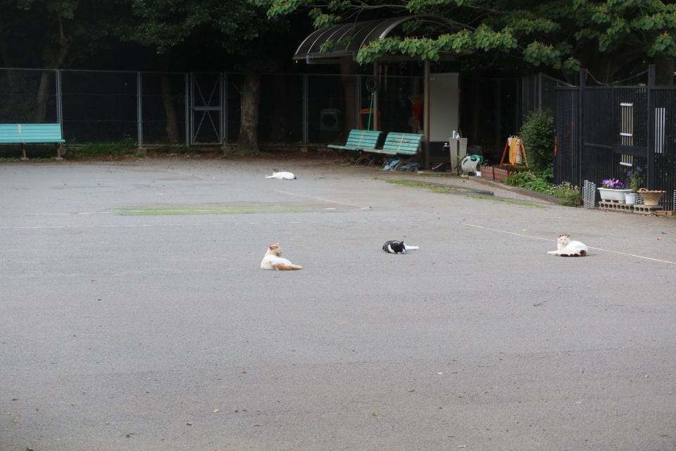 ファイル 8044-1.jpg