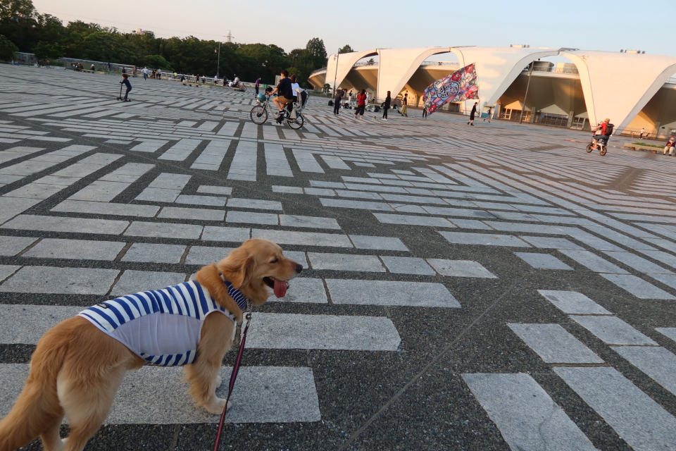 ファイル 8044-4.jpg