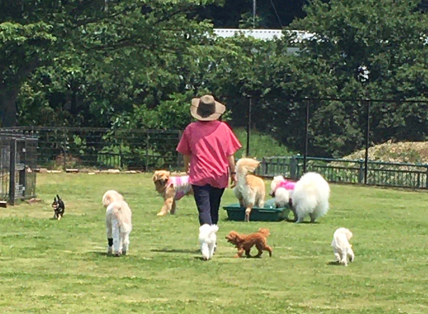 ファイル 8045-5.jpeg