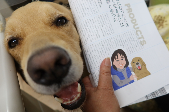 ファイル 8046-3.jpg